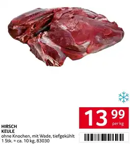 Transgourmet Hirsch keule Angebot