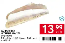 Transgourmet Zanderfilet mit haut Angebot