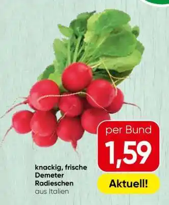 Spar Demeter Radieschen Angebot