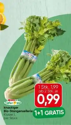 Spar knackiger Bio-Stangensellerie Angebot