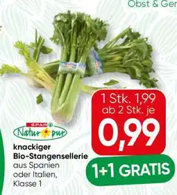 Spar knackiger Bio-Stangensellerie Angebot