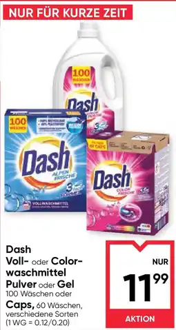 Maximarkt Dash voll oder color waschmittel pulver oder gel Angebot