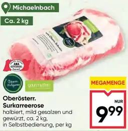Maximarkt Oberösterr. Surkarreerose Angebot