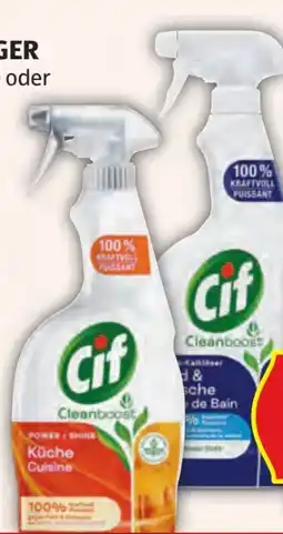 Hofer Cif Reiniger Angebot