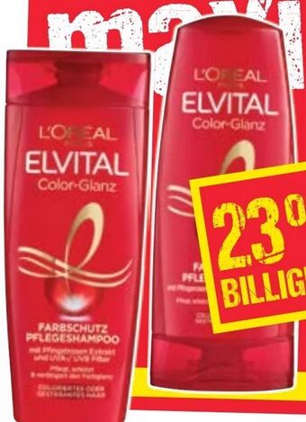 Maximarkt Elvital Shampoo Angebot