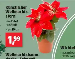 Thomas Philipps Künstlicher Welhnachts- stern Angebot
