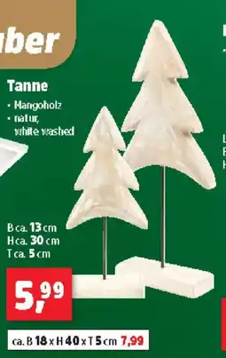 Thomas Philipps Tanne Angebot