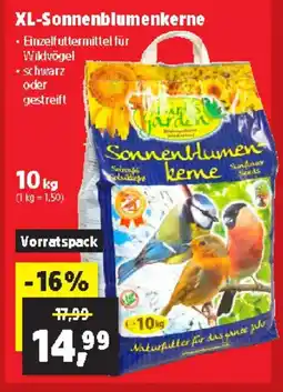 Thomas Philipps Xl-sonnenblumenkerne Angebot