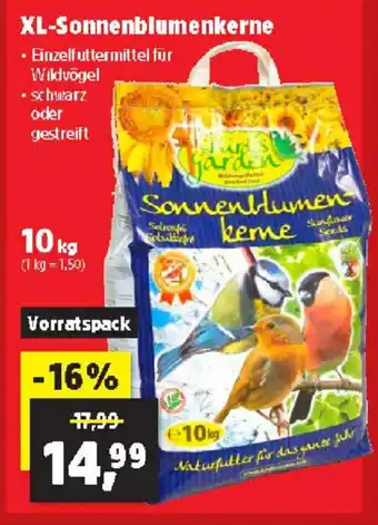 Thomas Philipps Xl-sonnenblumenkerne Angebot