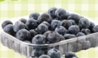 Maximarkt Heidelbeeren Angebot