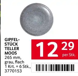 Transgourmet Gipfel- stück teller moos Angebot