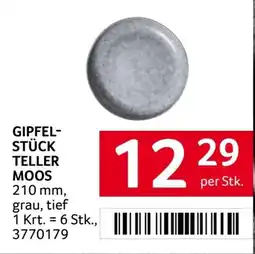 Transgourmet Gipfel- stück teller moos Angebot
