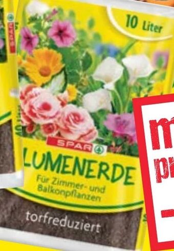 Maximarkt Blumenerde Angebot