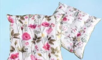 Maximarkt Sitzkissen Angebot