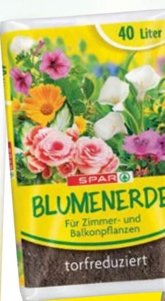 Maximarkt Blumenerde Angebot