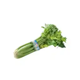 Spar knackiger Bio-Stangensellerie SPAR Angebot