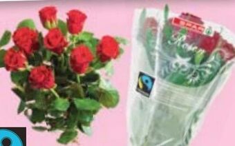 Maximarkt Rose Angebot