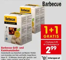 Interspar Barbecue Grill- und Kaminanzünder Angebot