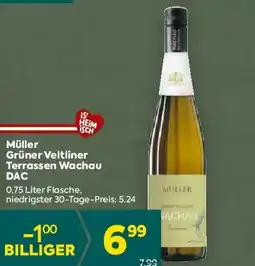 Billa Grüner veltliner terrassen wachau dac Angebot