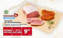 Billa Karreerose vom strohwohlschwein Angebot
