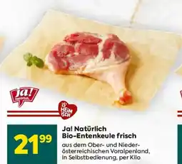Billa Ja! Natürlich Bio-Entenkeule frisch Angebot