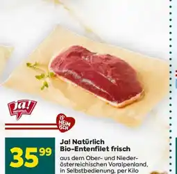 Billa Ja! natürlich bio-entenfilet frisch Angebot