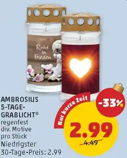 PENNY Ambrosius 5-tage- grablicht Angebot