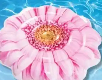 Maximarkt Luftmatratze Pink Daisy Flower Angebot