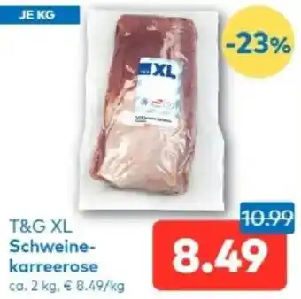 T&G XL Schweine- karreerose