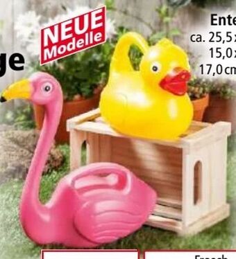 Norma Gießkanne Angebot