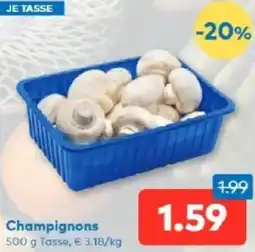 T&G Champignons Angebot