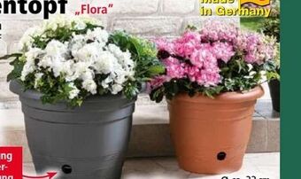Norma Blumentopf Flora Angebot