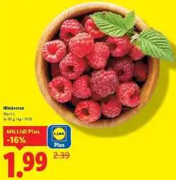 Lidl Himbeeren Angebot