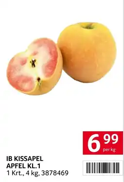 Transgourmet Apfel Angebot