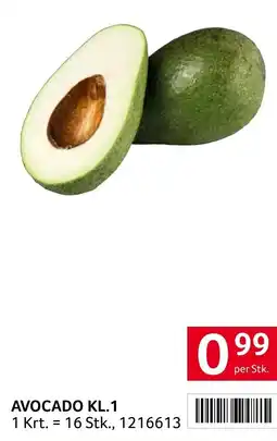 Transgourmet Avocado Angebot