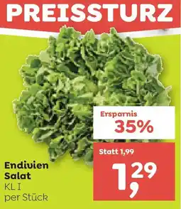 ADEG Endivien Salat Angebot