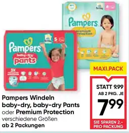 Maximarkt Pampers Windeln baby-dry, baby-dry Pants oder Premium Protection Angebot