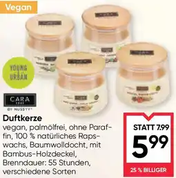Maximarkt Duftkerze Angebot