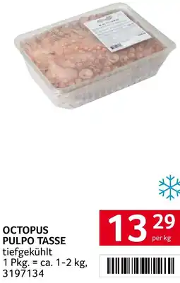 Transgourmet Octopus pulpo tasse Angebot