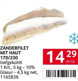 Transgourmet Zanderfilet mit haut 170/230 Angebot