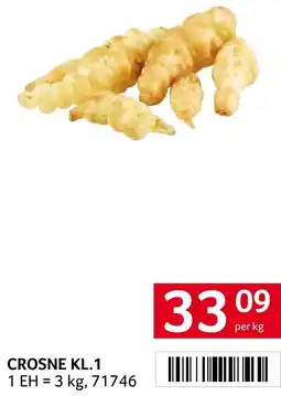 Transgourmet Crosne kl.1 Angebot