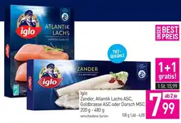 Sutterlüty Iglo Zander, Atlantik Lachs ASC, Goldbrasse ASC oder Dorsch MSC Angebot