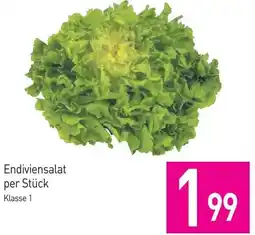 Sutterlüty Endiviensalat Angebot