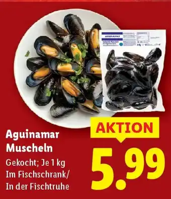 Lidl Aguinamar Muscheln Angebot