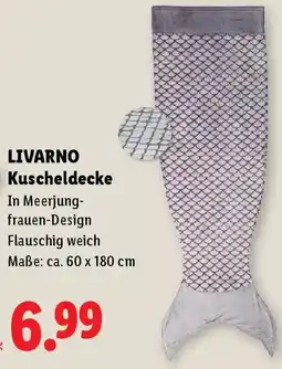 Lidl LIVARNO Kuscheldecke Angebot