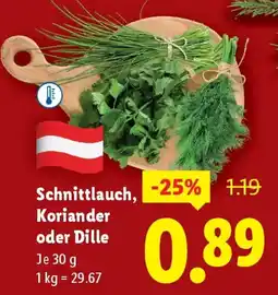 Lidl Schnittlauch koriander oder dille Angebot