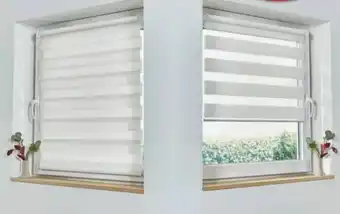 Lidl Fenster Dou-Rollo Angebot
