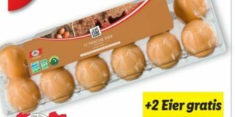 Lidl Eier Angebot