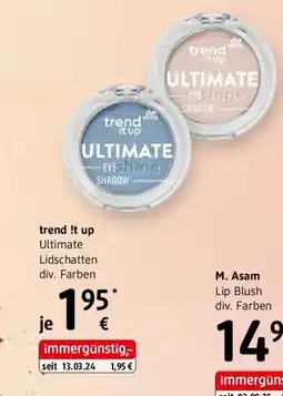 dm trend it up trend !t up Ultimate Angebot