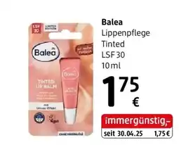 dm Balea Angebot
